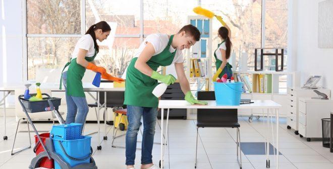 Our Cleaners at Domestic and Office Cleaning